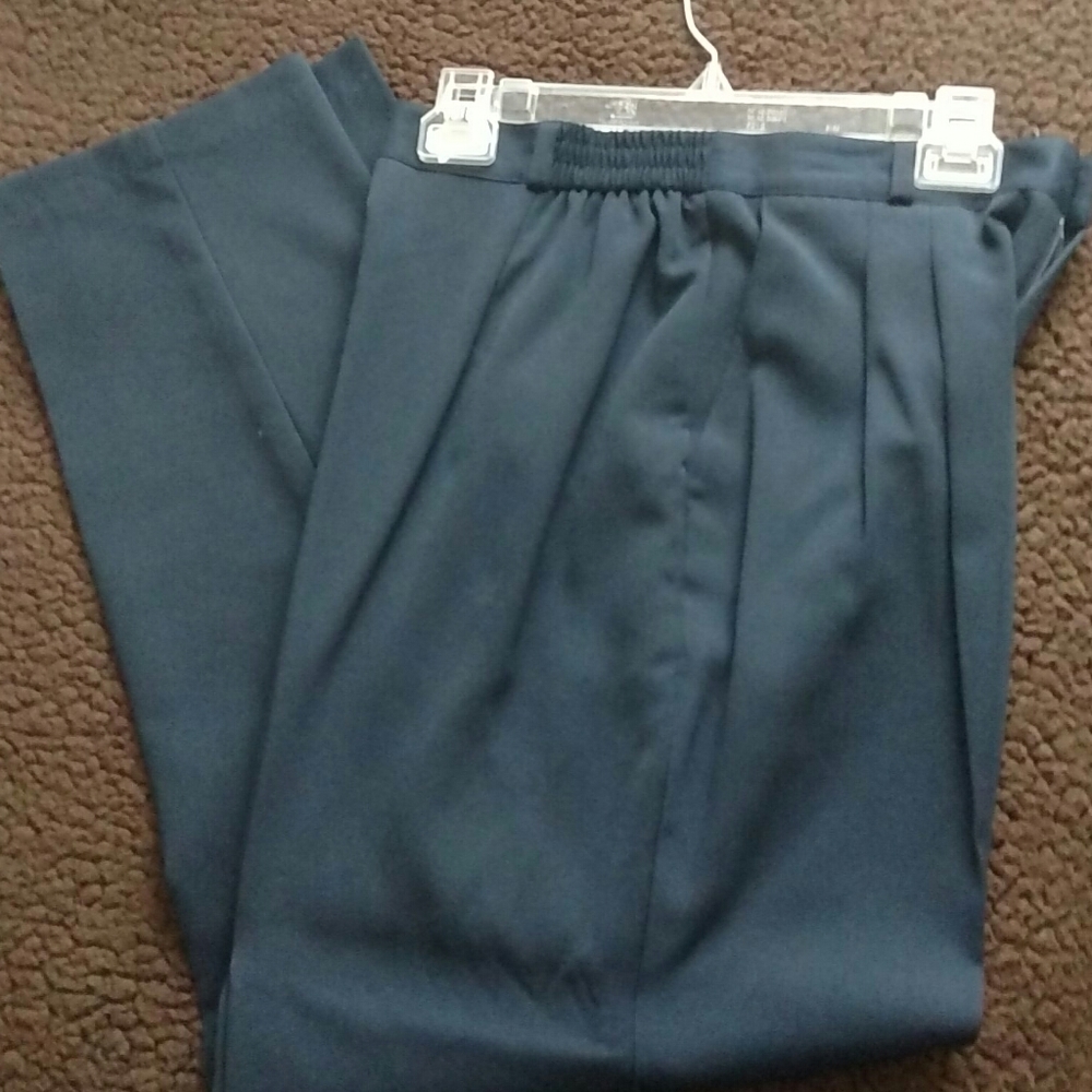 Briggs NWT navy slacks size 12
